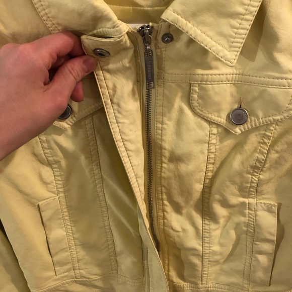 Yellow Jacket 🐝 - Picture 2 of 4